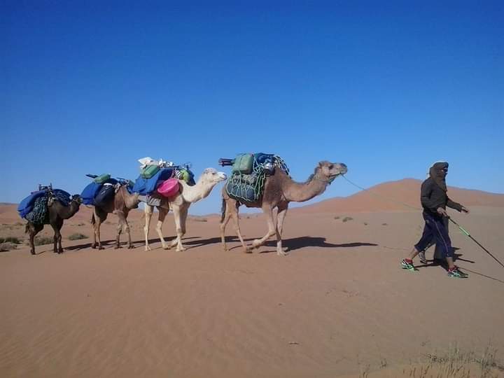 Moroccco desert trek